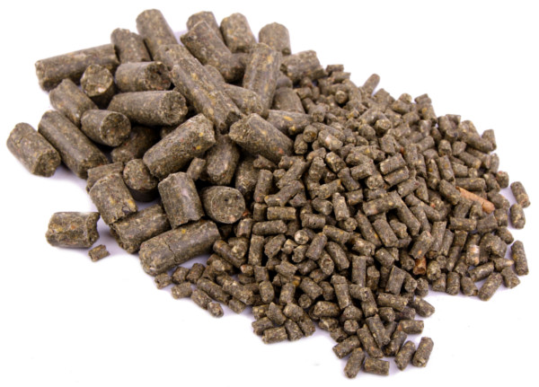 Vrac 20 kg Baby Corn Mais Pellets en 3 ou 8 mm (choix entre 6 goûts)~~ - Green Lipped Mussel