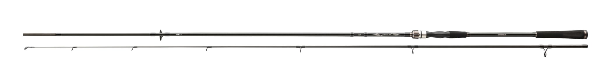 Canne Spinning Daiwa Exceler Seatrout 3.15m (15-40g)