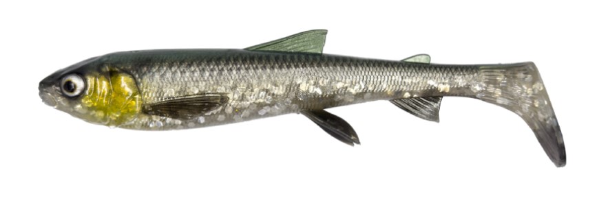 Savage Gear 3D Whitefish Shad 17.5cm (42g) (2 Stuks) - Green Silver