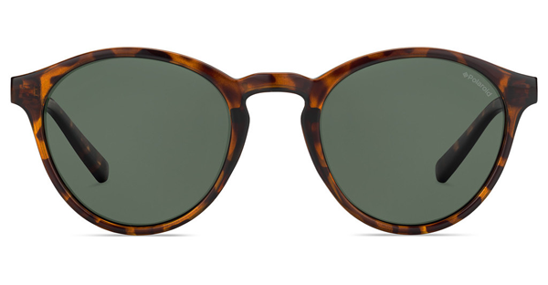 Polaroid PLD 1013/S Havana Sunglasses