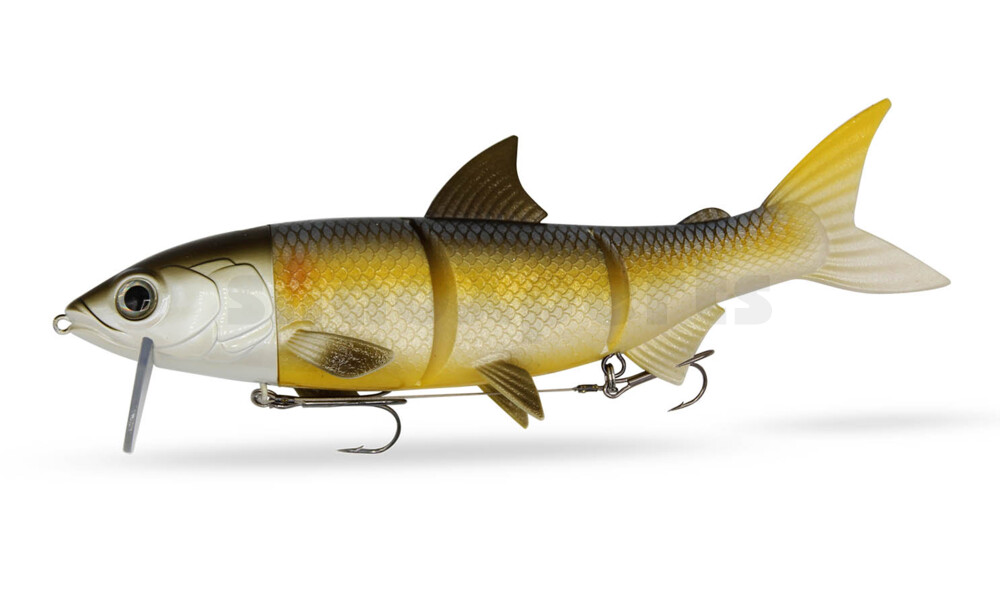 FishingGhost RenkyOne Hybrid Fishing Swimbait SS 25cm (180g) - Rudd