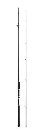 Canne Shimano Salty Advance Spinning Sea Bass