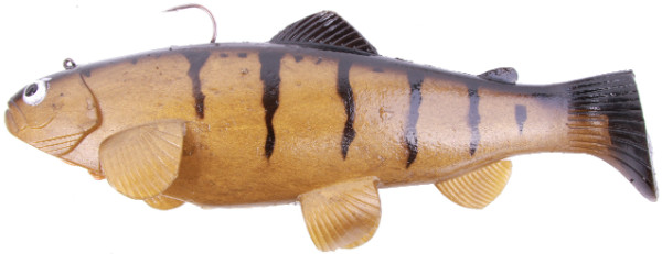 Castaic Swimbait Trout - Yellow Perch