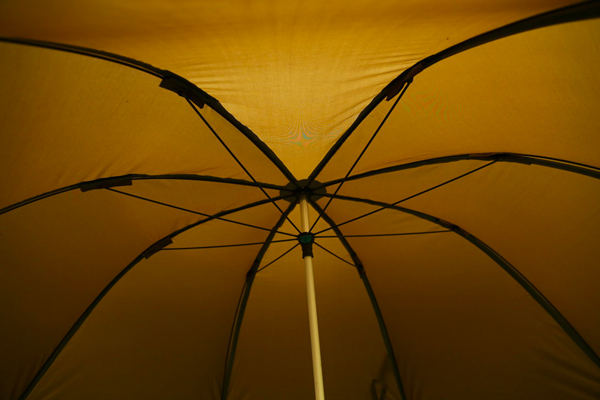 Brolly Fox 60'