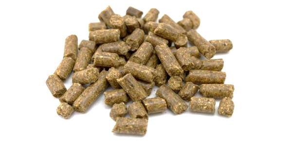 Vrac 20 kg Baby Corn Mais Pellets en 3 ou 8 mm (choix entre 6 goûts)~~ - Vismeel met maar liefst 20% vismeel