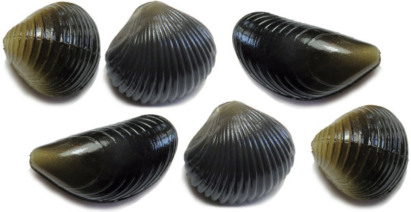 Behr Trendex Mini Carp Shells, 6 pièces !