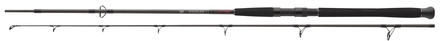 Canne Silure Daiwa Exceler CF Spin