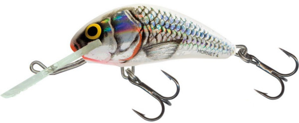 Leurre Salmo Hornet 6cm (26 options) - Silver White Shad