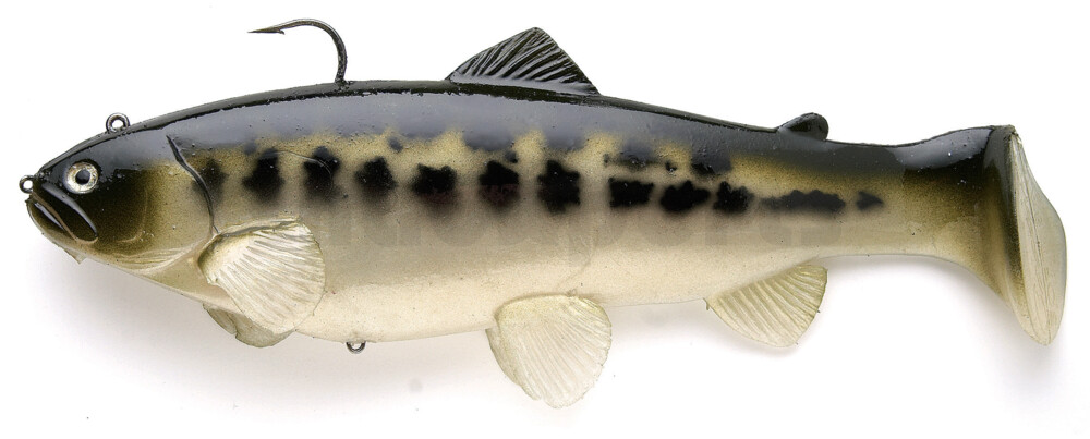 Castaic Swimbait Trout 4" (ca. 10cm) Sinking/Coulant (42g) - Baby Bass