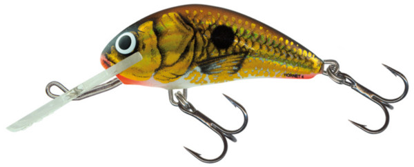 Leurre Salmo Hornet 6cm (26 options) - UV Gold Shiner