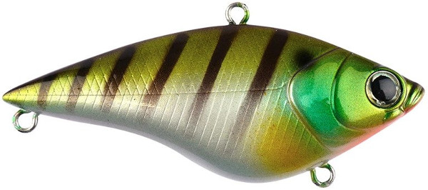 Darts Viber - Striped Bass