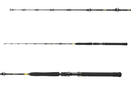 Canne pour Bateau Daiwa BG Big Game Pêche en Mer 1,68 m (3 brins)