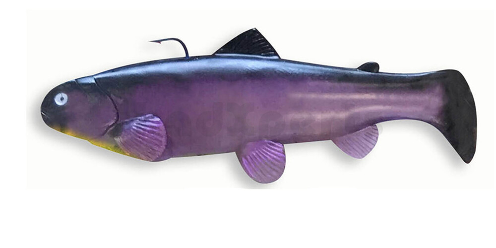 Castaic Swimbait Trout Sinking 25cm - Mad Shad