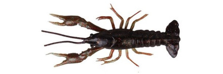 Savage Gear LB 3D Crayfish 8 cm 4 gr F 4 pcs