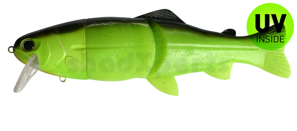 Leurre Castaic Real Bait Hard Head Slow Sinking (6"/15cm) Swimbait - Chartreuse