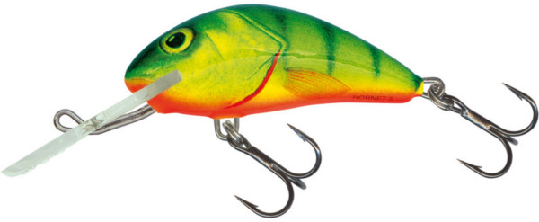 Salmo Hornet 2,5cm Sinking (3 options) - Hot Perch