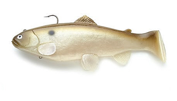 Castaic Swimbait Trout - Green Shad