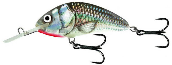 Leurre Salmo Hornet 6cm (26 options) - Holo Grey Shiner