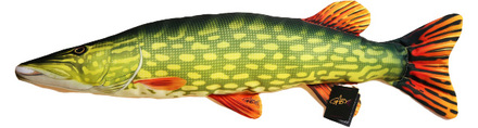 Brochet Gaby The Pike