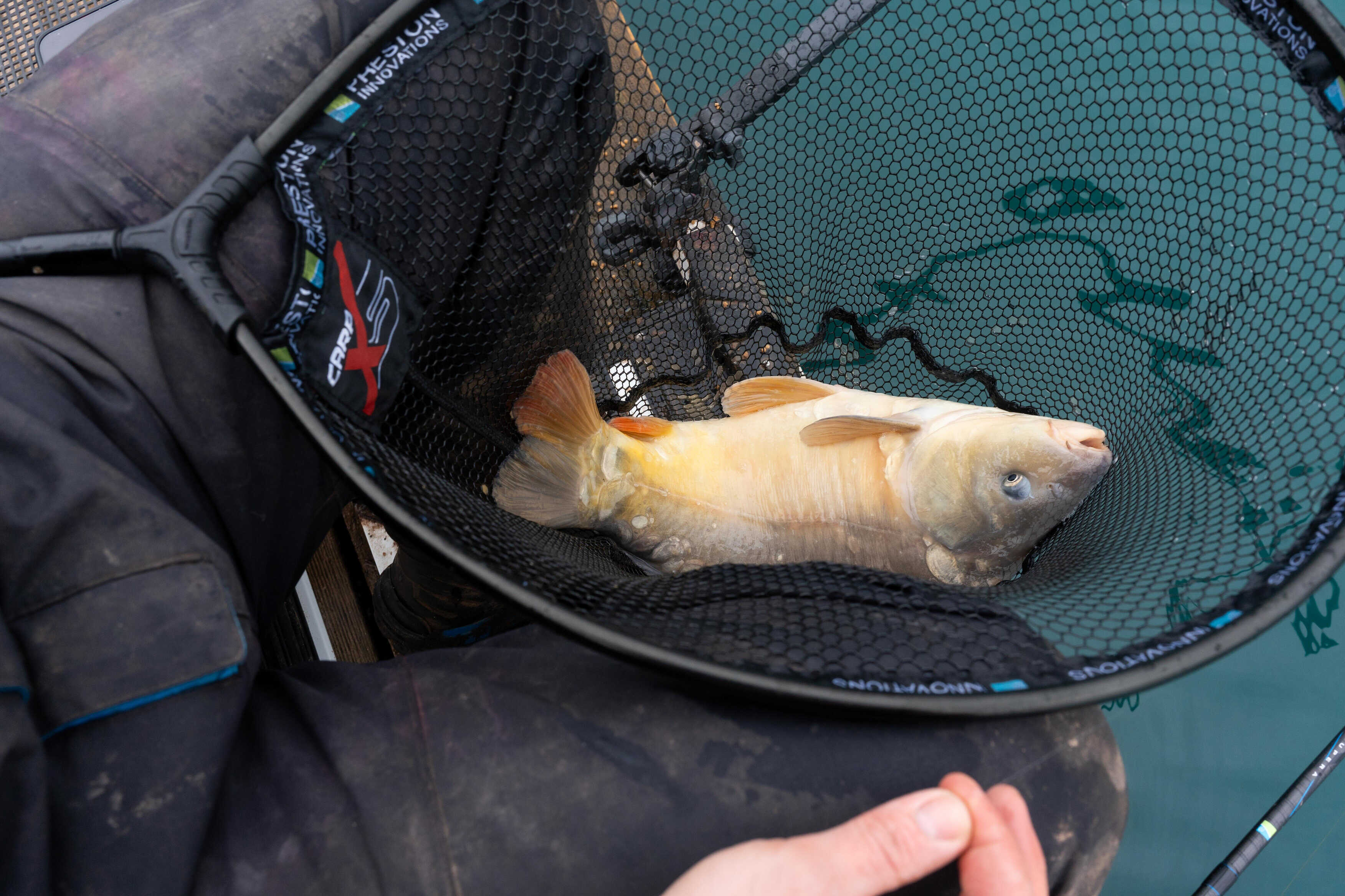 Tête d'épuisette Preston Carp XS