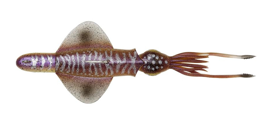 Leurre Souple Savage Gear Swim Squid Rtf 25cm (160g) - Cuttlefish