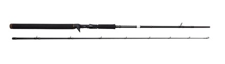 Canne Casting Savage Gear SG2 Jerk Specialist 1.98m (30-80g)